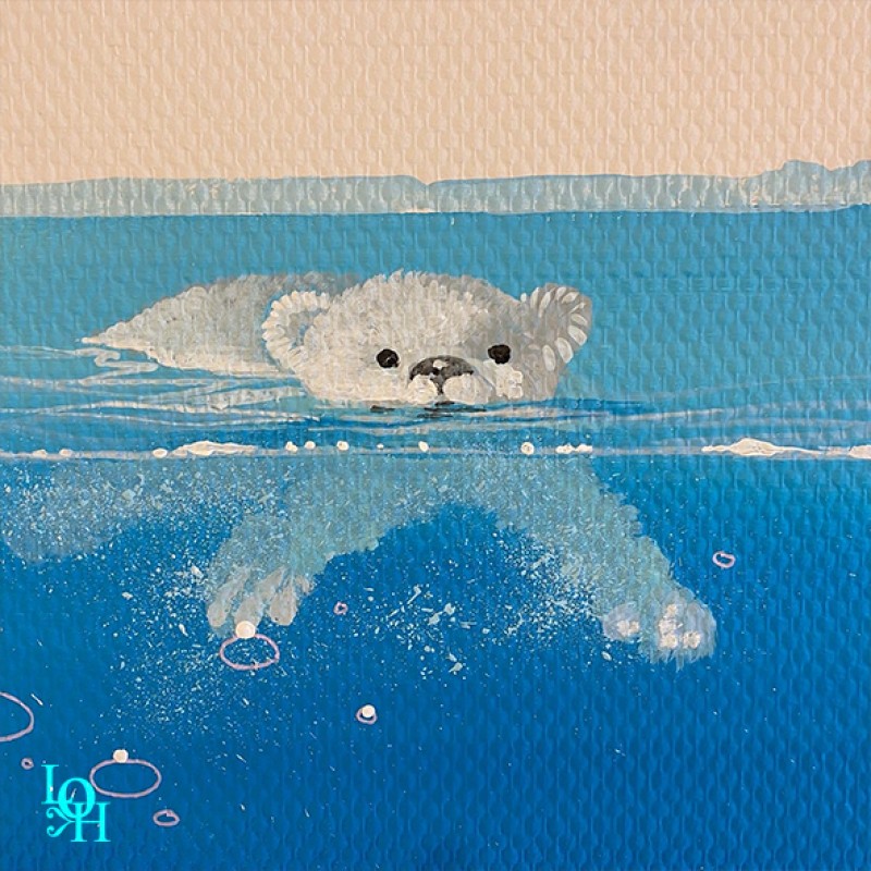 CHU-zone polaire-détail